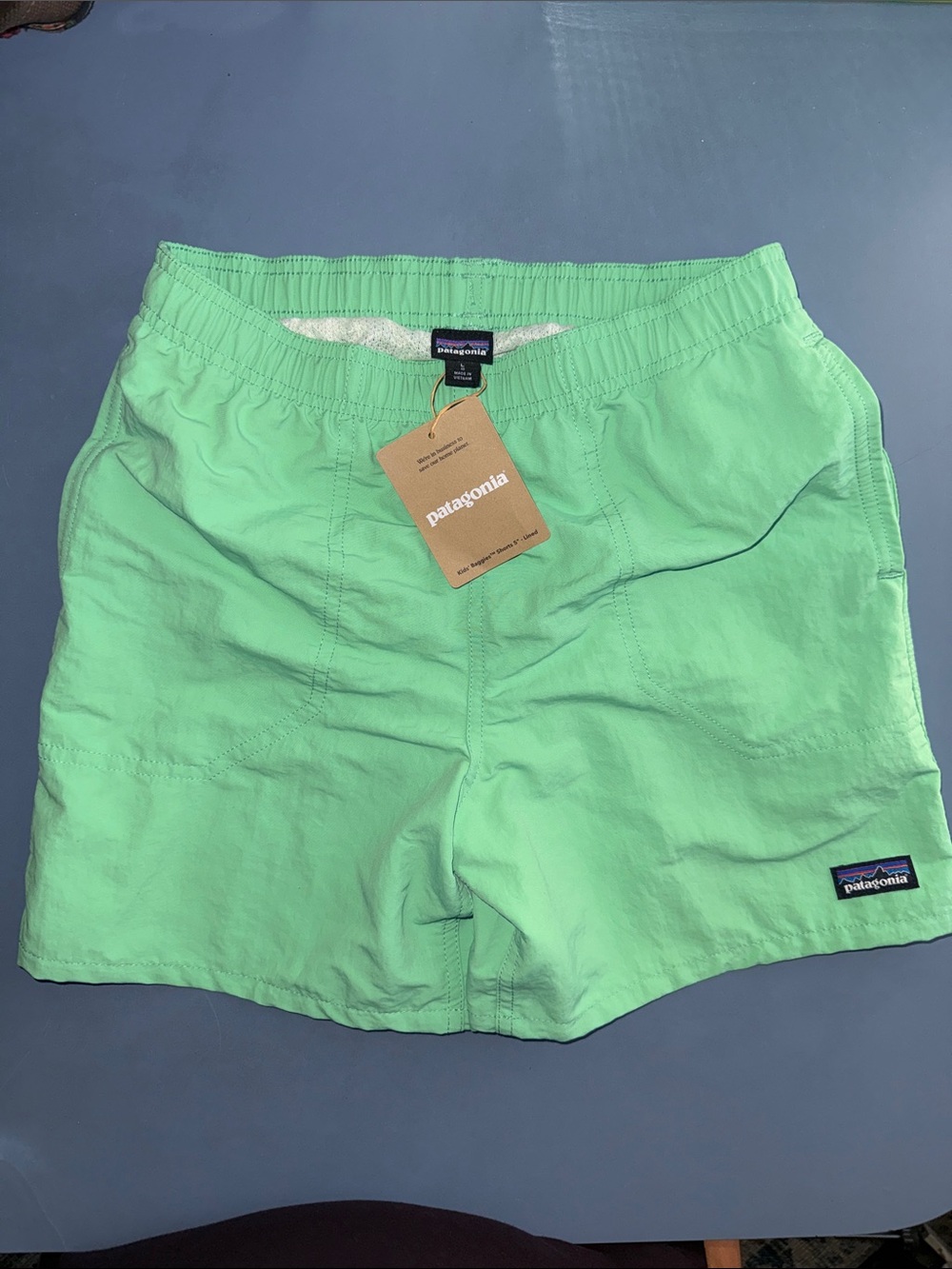 Patagonia Boys Mint Green Swim Shorts